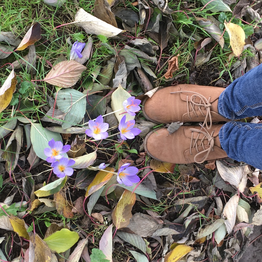 Meet your Posher, Jenny